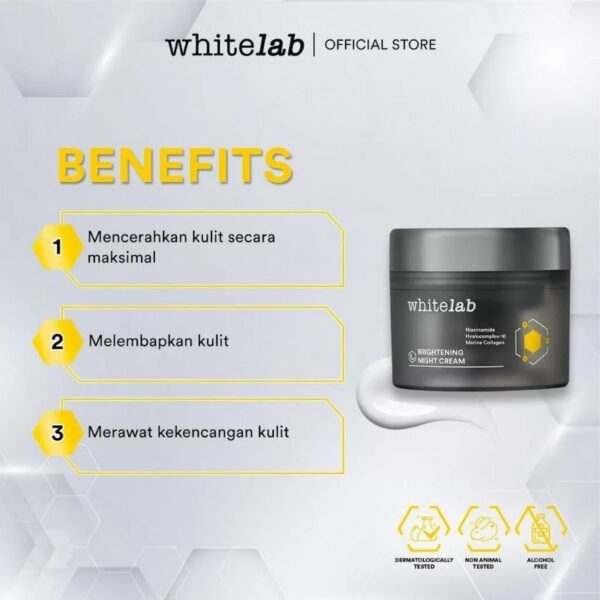 𝐑𝐀𝐃𝐘𝐒𝐀 - Whitelab Brightening Night Cream 20gr Cream Malam - Image 6